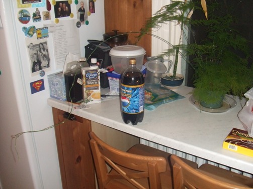 The Pepsi bottle is for scale.  The other junk on the counter top is... for scale too.