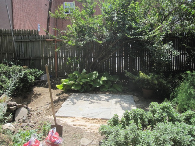 I'll be putting more dirt and some rocks and plants around the edges.