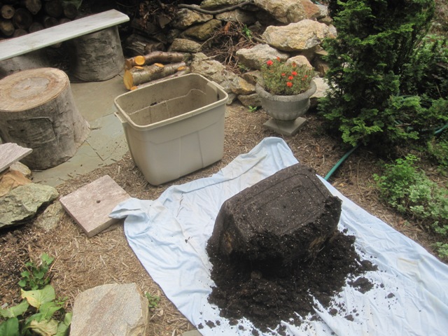 I'm saving the potting soil.  