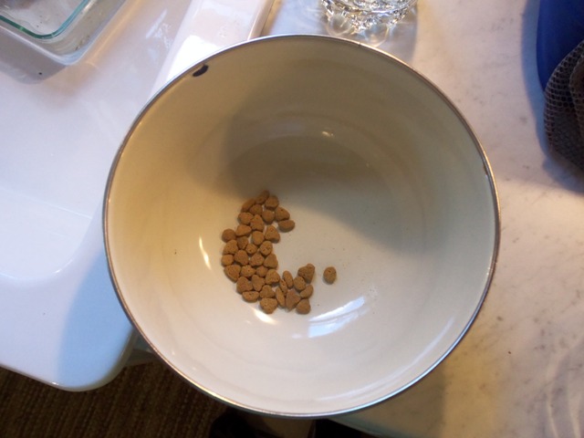 I took it from the bag, not from Max's bowl.