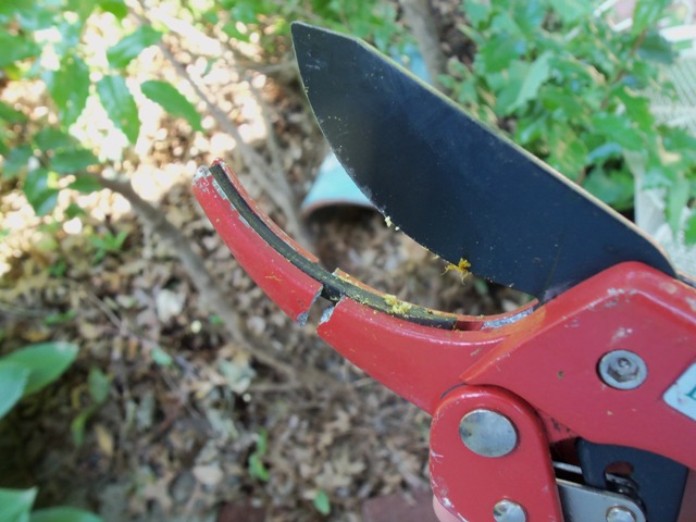 They actually still sort of worked, but I went and got new pruners anyway.  It would have been bad form to return the broken ones.