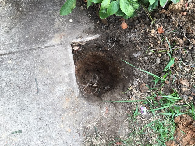 This hole is twenty inches deep.