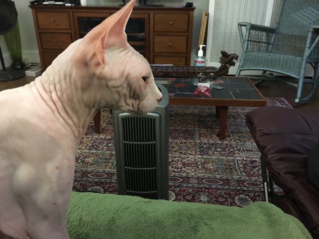 He LOVES his heater.